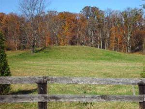 Indian mound off Route 15 and Foxfield Lane south of Leesburg VA