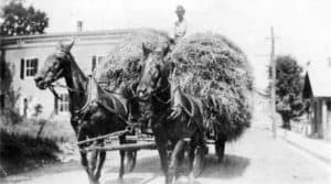 This picture (1880-1900) shows a haywagon on Main Street in downtown Round Hill