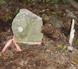 Fairfax County Virginia 1649 boundary stone